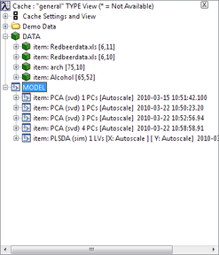 Model cache view type.png