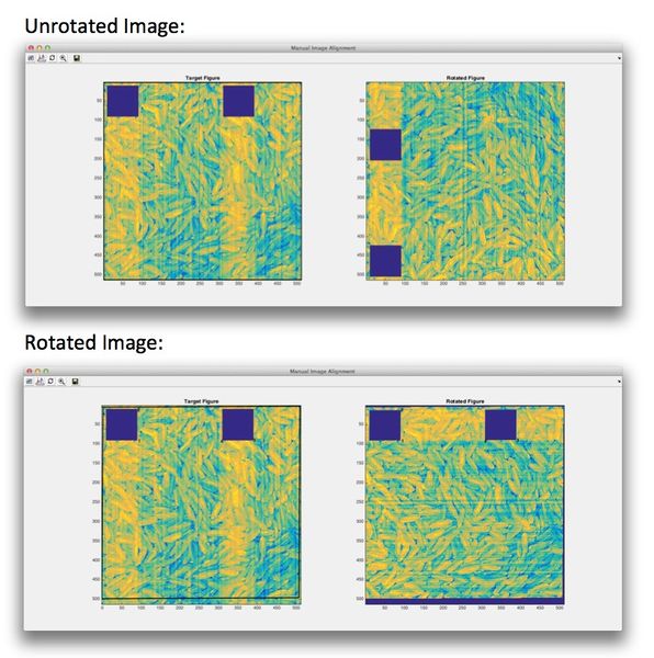 File:Alignimages beforeafter.jpg
