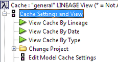 Edit Model Cache settings paneoptions.png
